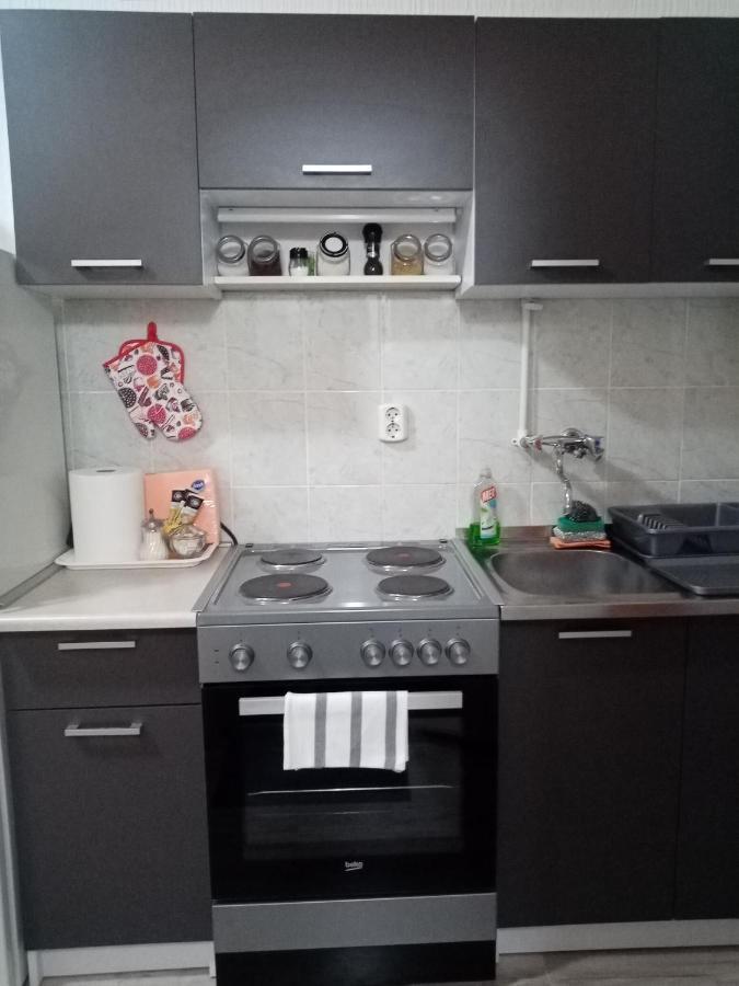 Apartment Anna Belgrad Dış mekan fotoğraf