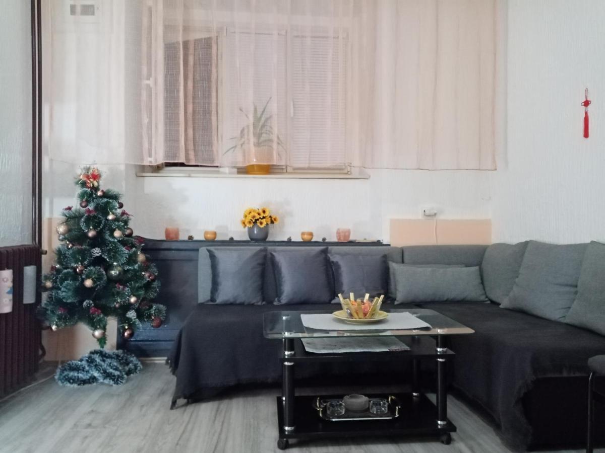 Apartment Anna Belgrad Dış mekan fotoğraf